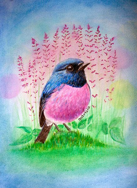 Pinkrobin bird with pink flowers by Gabriela Brakenhoff