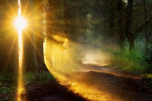 Durchbruch der Sonne