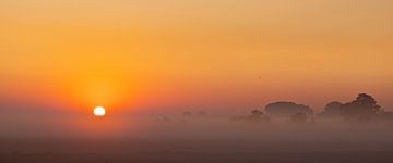 Panoramafoto opkomende zon op een mistige ochtend van Percy's fotografie