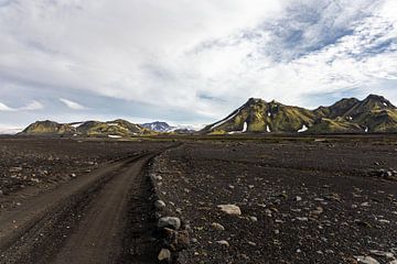 Highlands in IJsland, lavagrond en groene bergen van Annemarie Mastenbroek