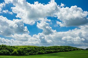 Landscape with field, trees and clouds van Rico Ködder