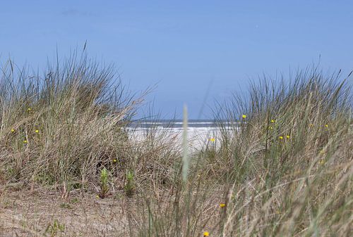 Duinzicht Schiermonnikoog 