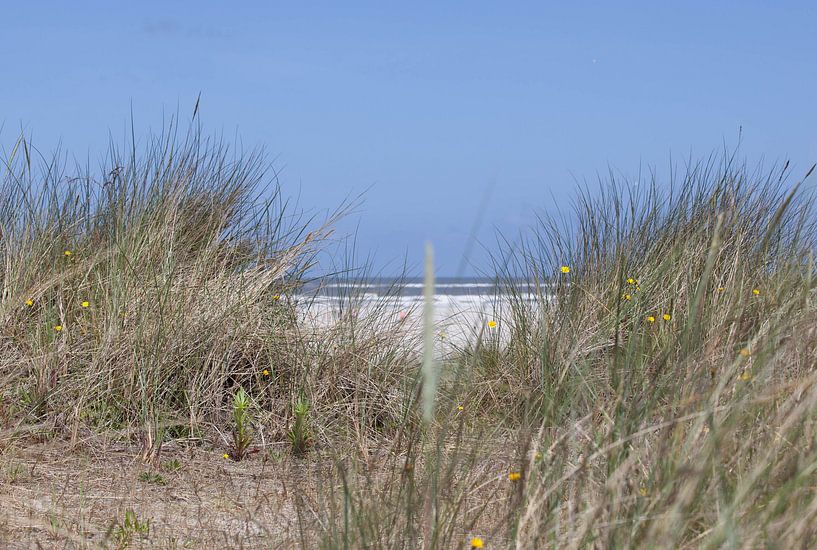 Duinzicht Schiermonnikoog  by Erik Nienhuis