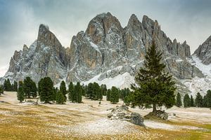 Geisler Dolomites in Val di Funes in South Tyrol sur Michael Valjak