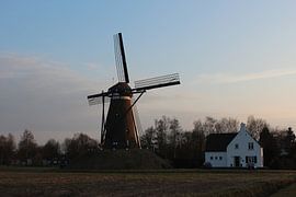 Molen De Roosdonck, Nuenen