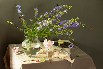 Nature morte "Dolly et ses amis