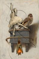 Le bouvreuil la batte et la ballerine