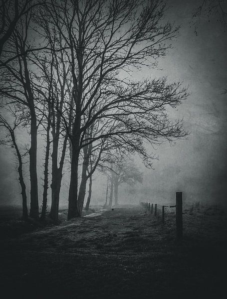 Morning light by Jaap Lagendijk