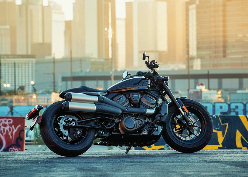 Harley Davidson Sportster par Ma Chan