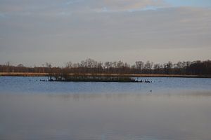 Nationaal park De Groote Peel