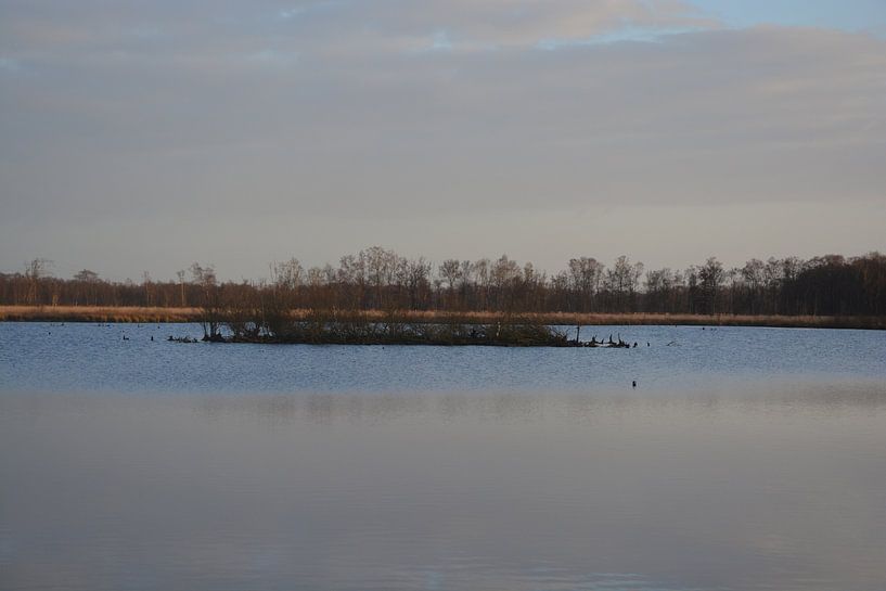 National Park De Grote Peel by Hans Janssen