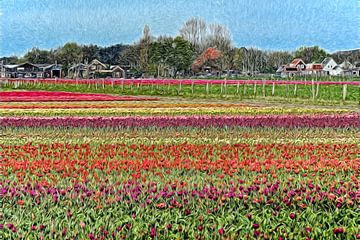 Champs de bulbes abstraits d'Egmond