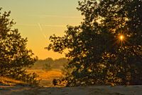 Romantic landscape