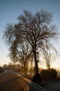 Ochtendzon op het platteland van Egon Zitter