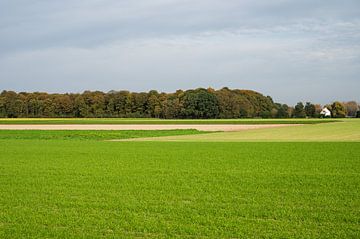Green fields around Zemst (Flanders) by Werner Lerooy