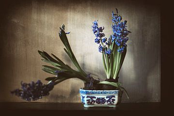 Oma's Chinese schaal met hyacinten. van Mark Isarin | Fotografie