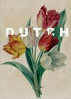 DUTCH botanical tulips