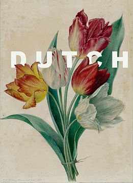 DUTCH botanical tulips by Affect Fotografie