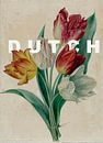 DUTCH botanische Tulpen von Affect Fotografie Miniaturansicht