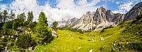 Paysage de montagne "Rinderfeld"