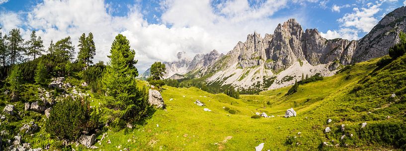 Paysage de montagne "Rinderfeld" par Coen Weesjes