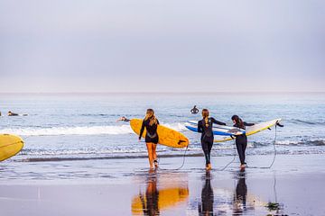 Surfer Girls - San Diego Style