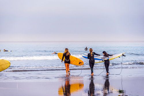Surfer Girls - San Diego stijl