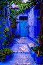 Beautiful blue city in Morocco by Roy Poots thumbnail