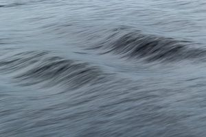 Waves van Freek van den Driesschen
