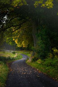 Tulliemet en Ecosse, une route de campagne