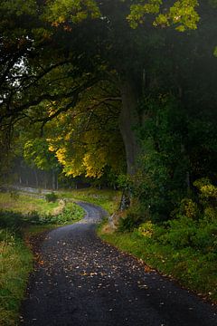 Tulliemet in Schotland, een landweg