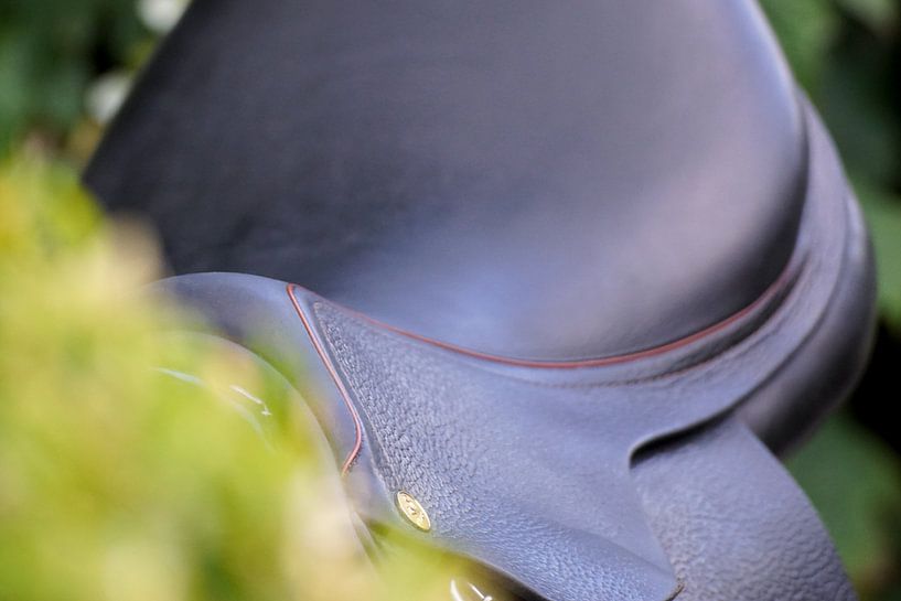 Zadel by Marleen van den Boom