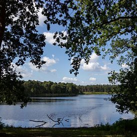 Doorkijkje op een natuurven. von Henny van Riel