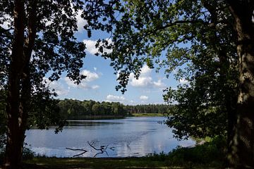 Doorkijkje op een natuurven. van Henny van Riel