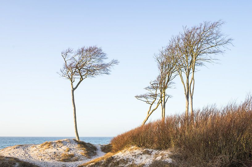 West beach dunes fish country Darß by Jürgen Schmittdiel Photography