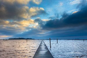 Zicht op het Vogeleiland in het Zwarte Meer van Wilko Visscher