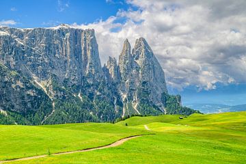 Sciliar massief gezien vanaf de Seiser Alm
