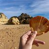 Shell sur une plage au Portugal sur Jacoba de Boer