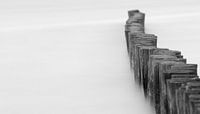 Wooden stakes in the water  by Michel Knikker thumbnail