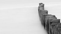 Houten palen in het water 