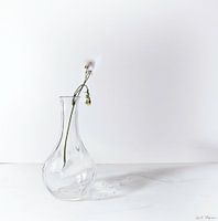 L'élégance fragile de la nature