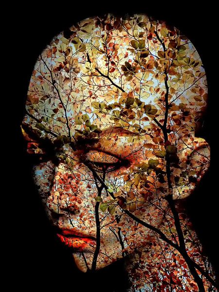 The autumn in mind von Gabi Hampe