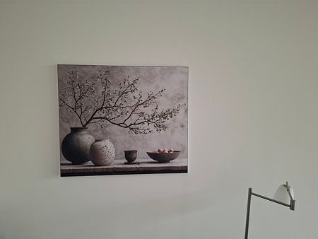 Japandi Still Life | Elemental Poise