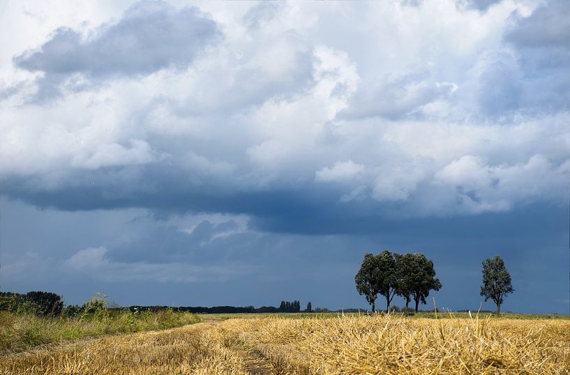 Toscane ou Hoekschewaard par Jan Brand