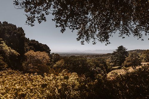 Zuid-Afrikaans landschap | Botanische tuin Kirstenbosch