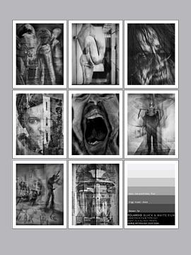 POLAROID 107 NORDISCHE MYTHOLOGIE EDDA