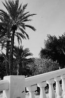 Paradis méditerranéen en noir et blanc
