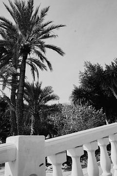 Mediterraan paradijs in zwart wit van Studio Seeker