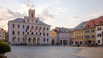 Weimar City Hall backlit by Mixed media vector arts