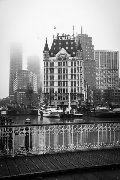 The White House by SVPhotography
